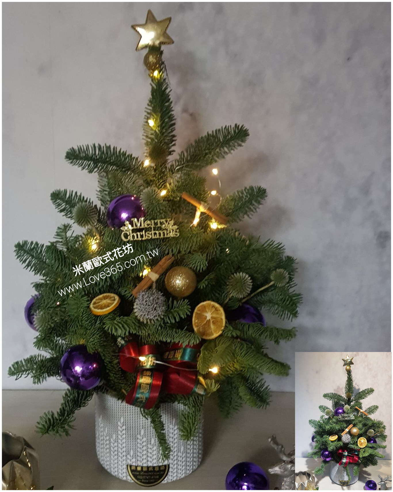 進口諾貝松聖誕樹-米蘭歐式花坊